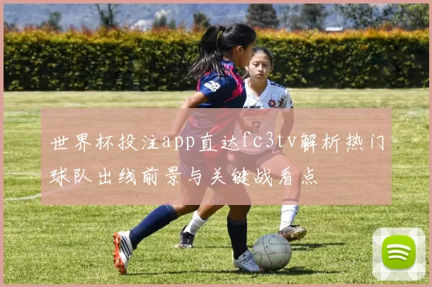 世界杯投注app直达fc3tv解析热门球队出线前景与关键战看点