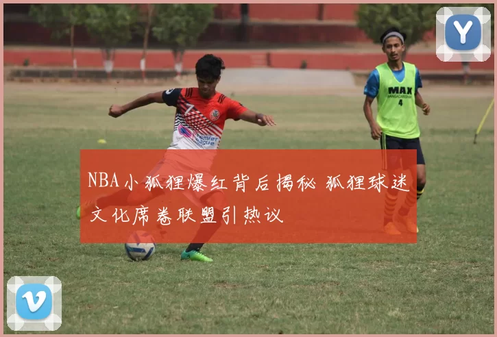 NBA小狐狸爆红背后揭秘 狐狸球迷文化席卷联盟引热议