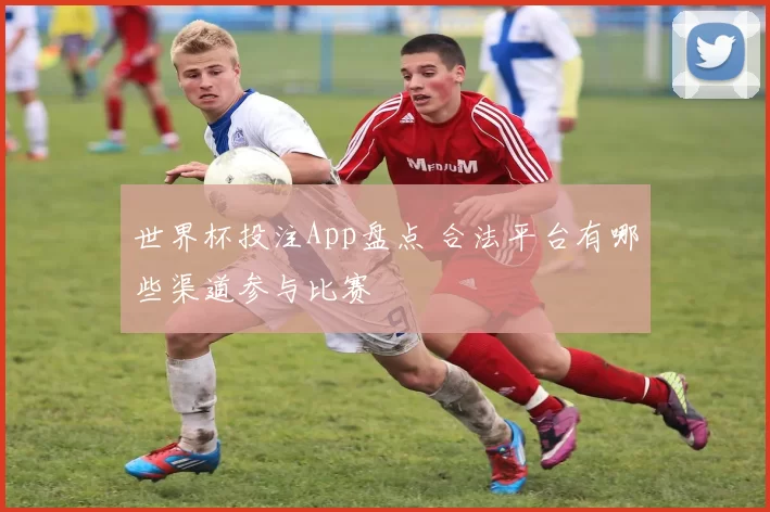 世界杯投注App盘点 合法平台有哪些渠道参与比赛