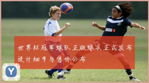 世界杯冠军球队正版球衣正式发布设计细节与售价公布