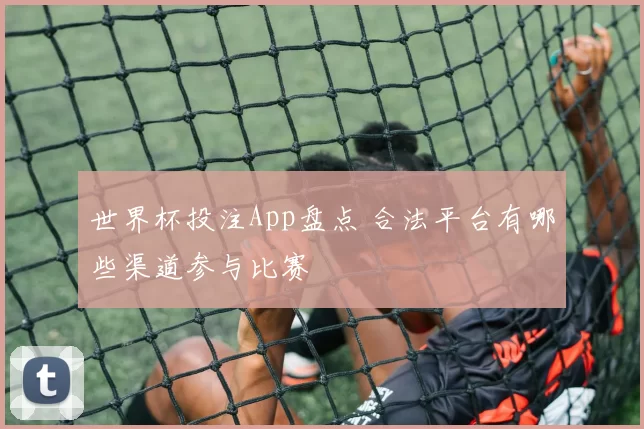 世界杯投注App盘点 合法平台有哪些渠道参与比赛