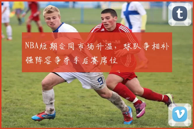 NBA短期合同市场升温，球队争相补强阵容争夺季后赛席位