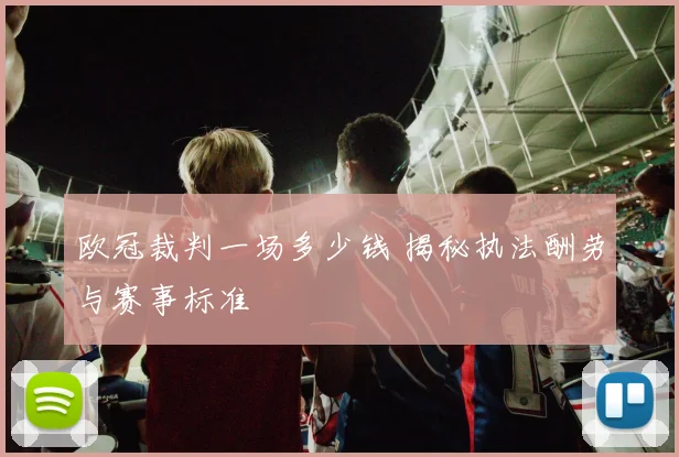 欧冠裁判一场多少钱 揭秘执法酬劳与赛事标准