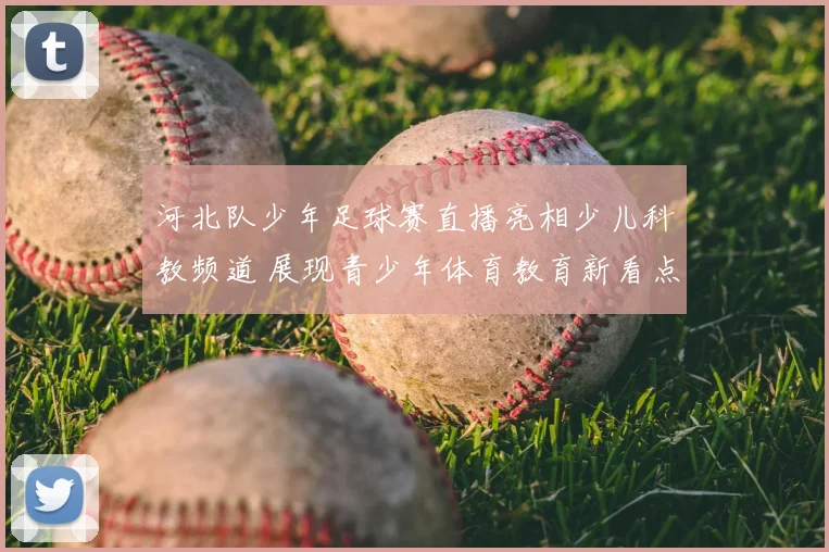 河北队少年足球赛直播亮相少儿科教频道 展现青少年体育教育新看点